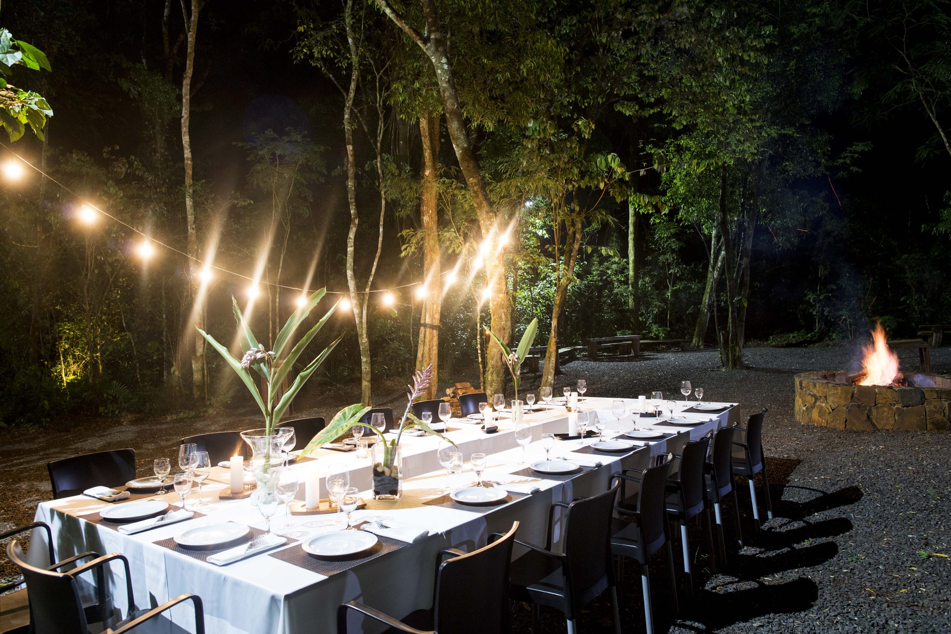Selva Iryapú desde el hotel